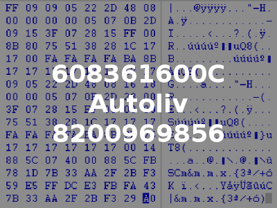 608361600C Autoliv 8200969856