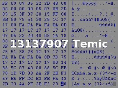 13137907 Temic