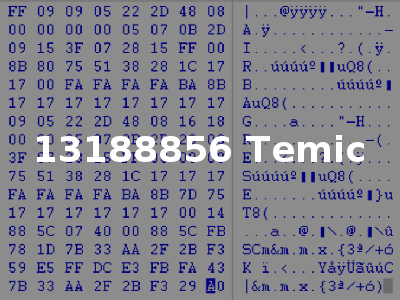 13188856 Temic