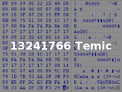 13241766 Temic