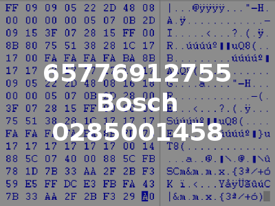 65776912755 Bosch 0285001458