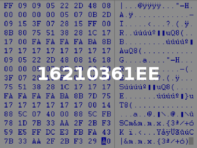 16210361EE