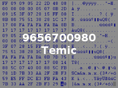 9656700980 Temic