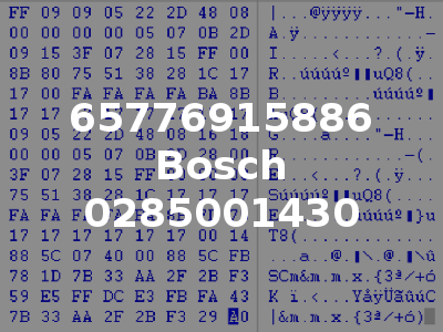 65776915886 Bosch 0285001430