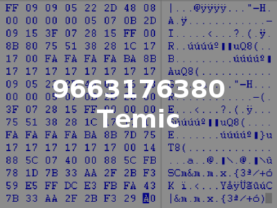 9663176380 Temic