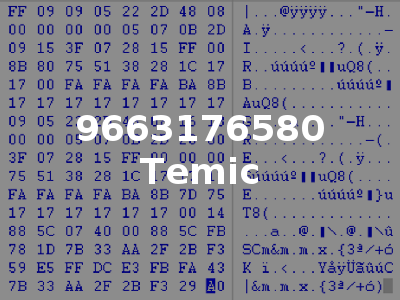 9663176580 Temic