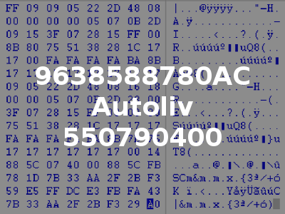 9638588780AC Autoliv 550790400