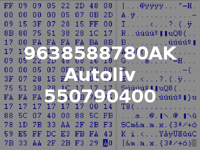 9638588780AK Autoliv 550790400