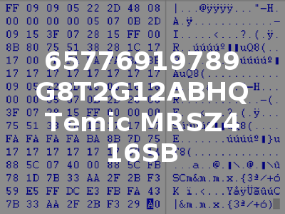 65776919789 G8T2G12ABHQ Temic MRSZ4 16SB