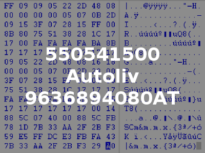 550541500 Autoliv 9636894080AT