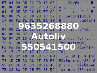 9635268880 Autoliv 550541500