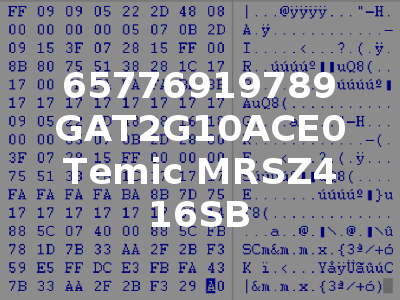 65776919789 GAT2G10ACE0 Temic MRSZ4 16SB