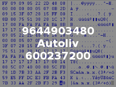 9644903480 Autoliv 600237200