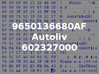 9650136680AF Autoliv 602327000