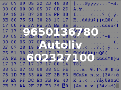 9650136780 Autoliv 602327100