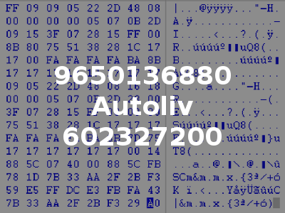 9650136880 Autoliv 602327200