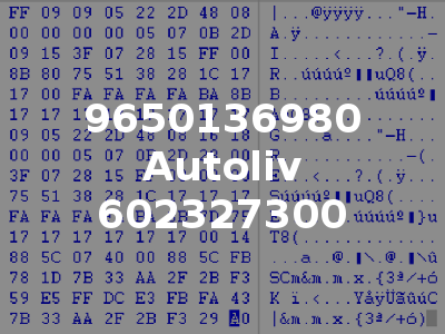 9650136980 Autoliv 602327300
