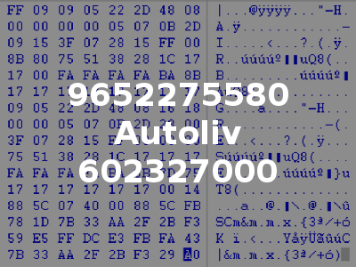 9652275580 Autoliv 602327000