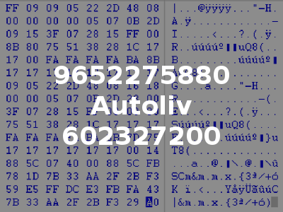 9652275880 Autoliv 602327200