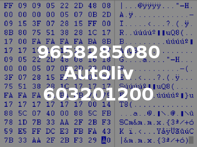 9658285080 Autoliv 603201200