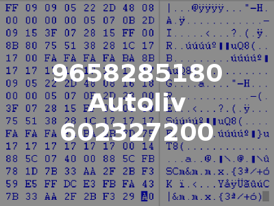 9658285180 Autoliv 602327200