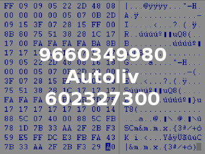 9660349980 Autoliv 602327300
