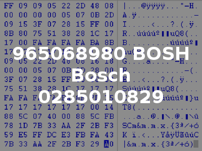 965068980 BOSH Bosch 0285010829