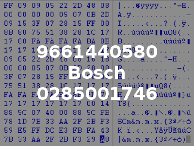 9661440580 Bosch 0285001746