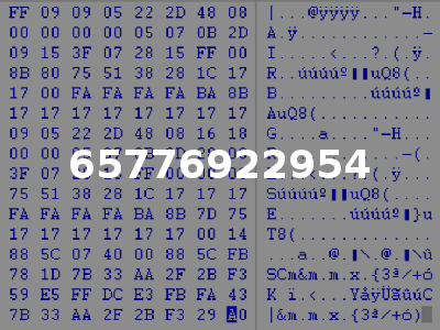 65776922954