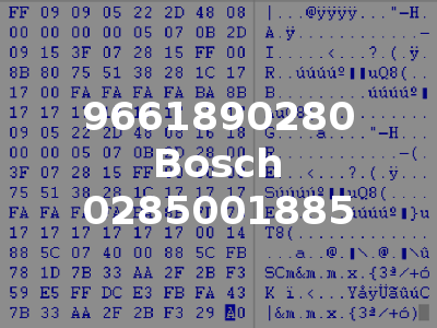 9661890280 Bosch 0285001885