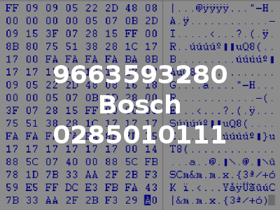 9663593280 Bosch 0285010111