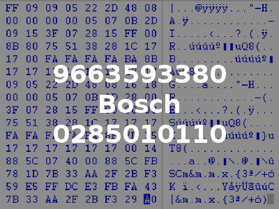 9663593380 Bosch 0285010110