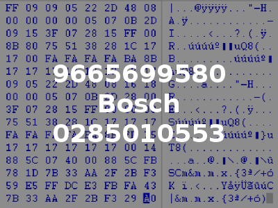 9665699580 Bosch 0285010553