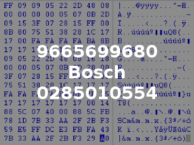 9665699680 Bosch 0285010554
