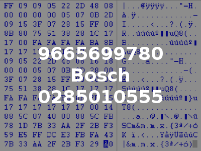 9665699780 Bosch 0285010555
