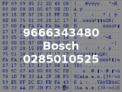 9666343480 Bosch 0285010525