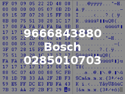 9666843880 Bosch 0285010703