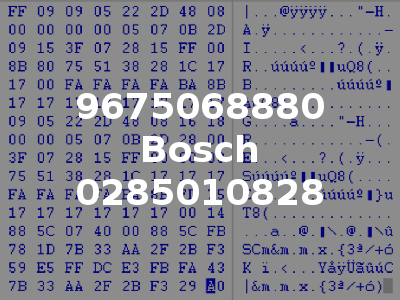 9675068880 Bosch 0285010828