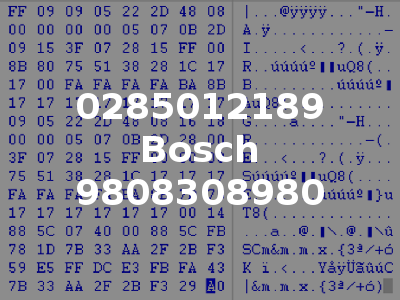 0285012189 Bosch 9808308980