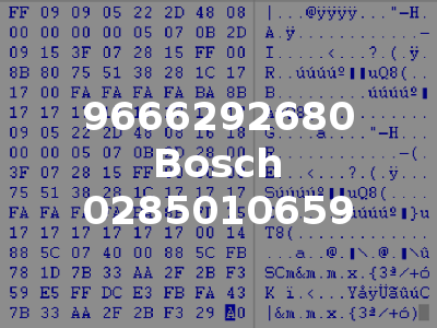 9666292680 Bosch 0285010659