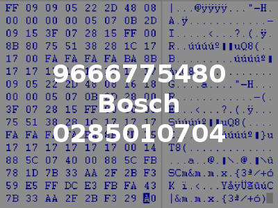 9666775480 Bosch 0285010704
