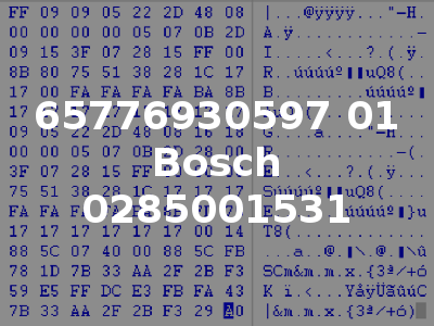 65776930597 01 Bosch 0285001531