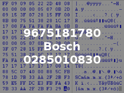 9675181780 Bosch 0285010830