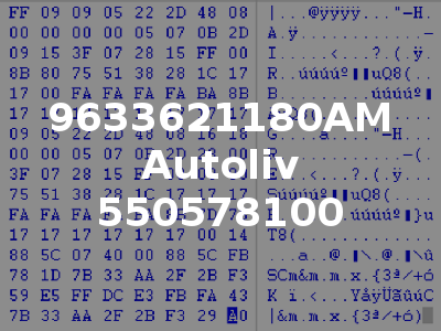 9633621180AM Autoliv 550578100