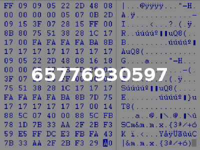 65776930597