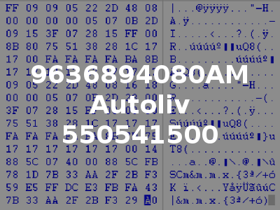 9636894080AM Autoliv 550541500