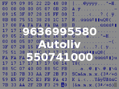 9636995580 Autoliv 550741000
