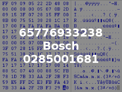65776933238 Bosch 0285001681