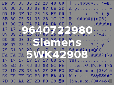 9640722980 Siemens 5WK42908