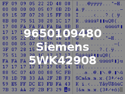 9650109480 Siemens 5WK42908